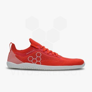 Chaussure Training Vivobarefoot Primus Lite Knit Homme Rouge | FR340KW