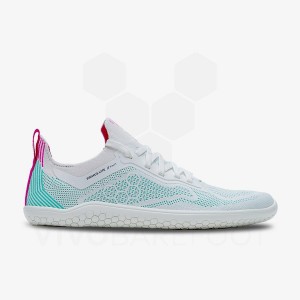 Chaussure Training Vivobarefoot Primus Lite Knit Homme Bleu | FR342IR