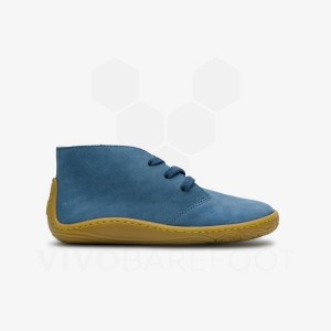 Chaussure Vivobarefoot Gobi Addis Juniors Enfant Indigo | FR009DO