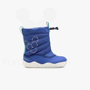 Chaussure Vivobarefoot Lumi X Arctic Angels Bambin Enfant Bleu | FR018UK