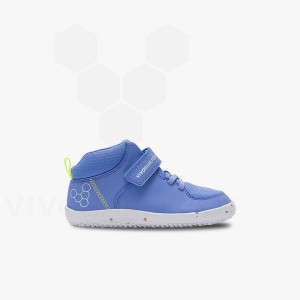 Chaussure Vivobarefoot Primus Ludo Hi Enfant Bleu | FR029JE