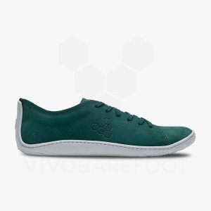 Chaussures Lifestyle Vivobarefoot Addis Homme Vert | FR312MM