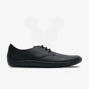 Chaussures Lifestyle Vivobarefoot Addis Oxford Homme Noir | FR297BA