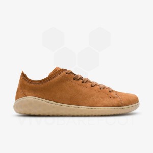 Chaussures Lifestyle Vivobarefoot Geo Court III Femme Marron | FR148UK