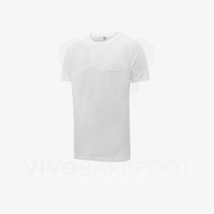 T Shirts Vivobarefoot Rapanui Homme Blanche | FR276WH