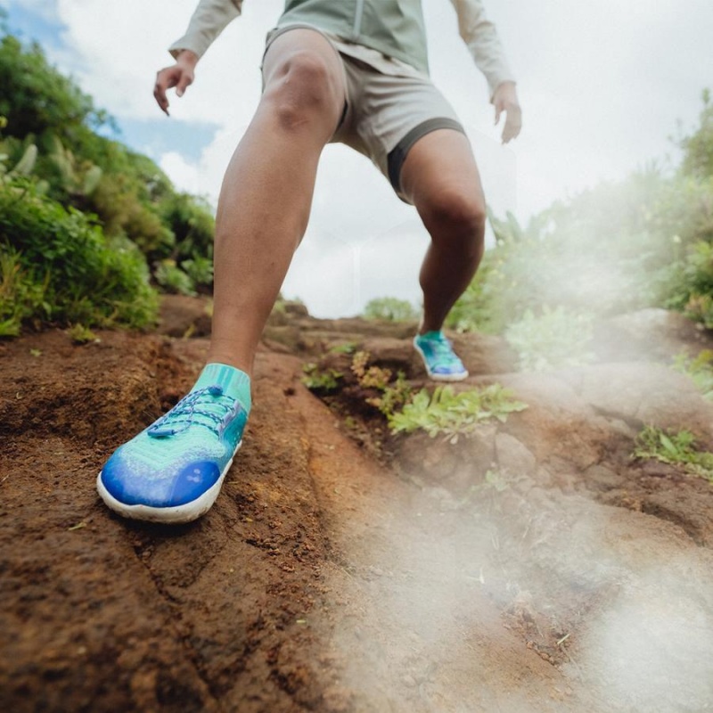 Chaussure Trail Running Vivobarefoot Primus Trail Knit FG Femme Bleu | FR200UK