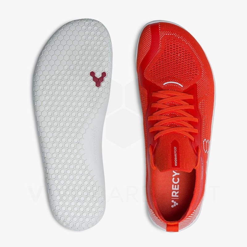 Chaussure Training Vivobarefoot Primus Lite Knit Homme Rouge | FR340KW