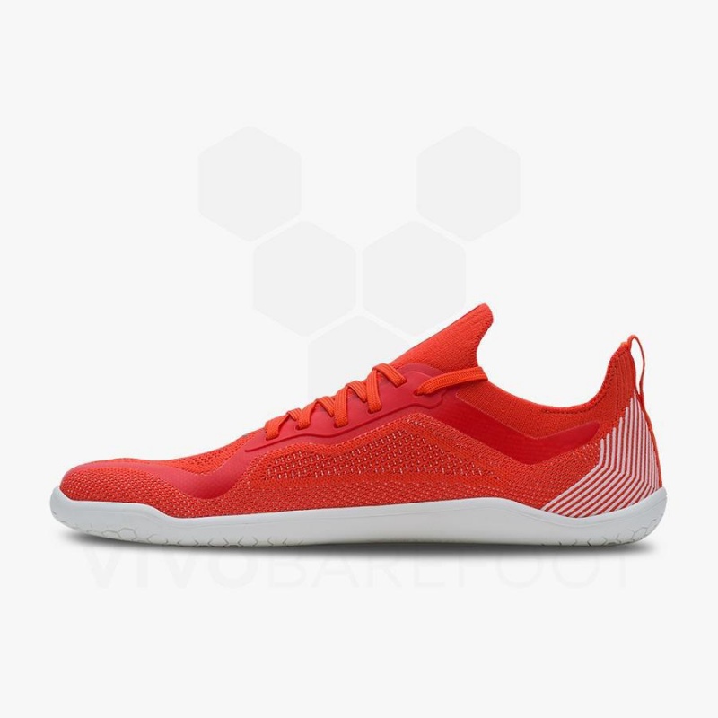 Chaussure Training Vivobarefoot Primus Lite Knit Femme Rouge | FR182MM