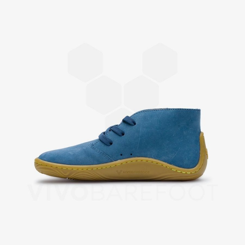 Chaussure Vivobarefoot Gobi Addis Enfant Indigo | FR014YF