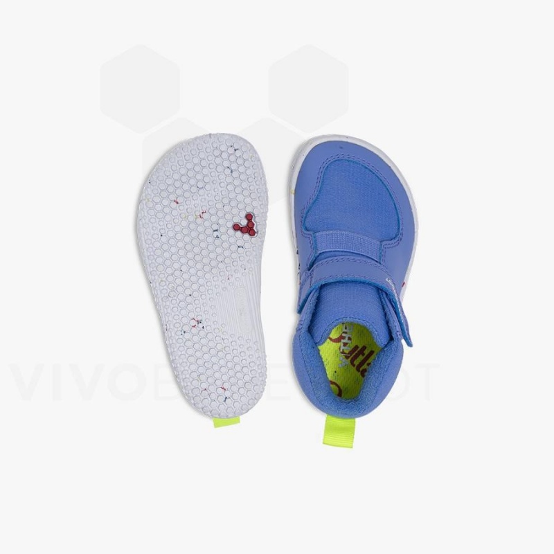 Chaussure Vivobarefoot Primus Ludo Hi Bambin Enfant Bleu | FR033FU