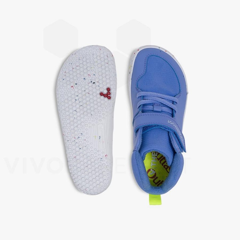 Chaussure Vivobarefoot Primus Ludo Hi Enfant Bleu | FR029JE