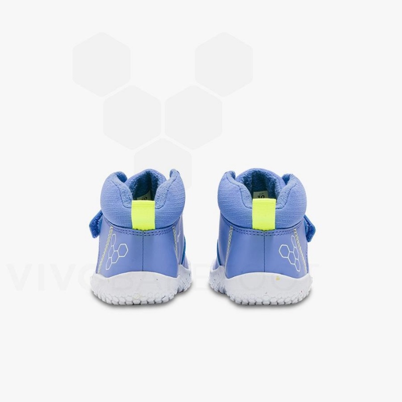 Chaussure Vivobarefoot Primus Ludo Hi Preschool Enfant Bleu | FR031HT