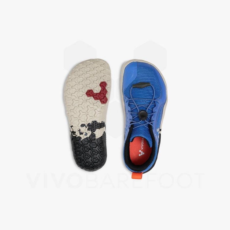 Chaussure Vivobarefoot Primus Trail II FG Preschool Enfant Bleu | FR088CP