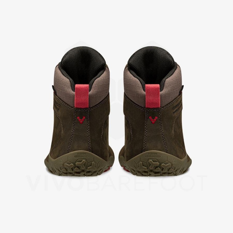 Chaussure de Randonnée Vivobarefoot Tracker II FG Femme Cafe | FR240GY