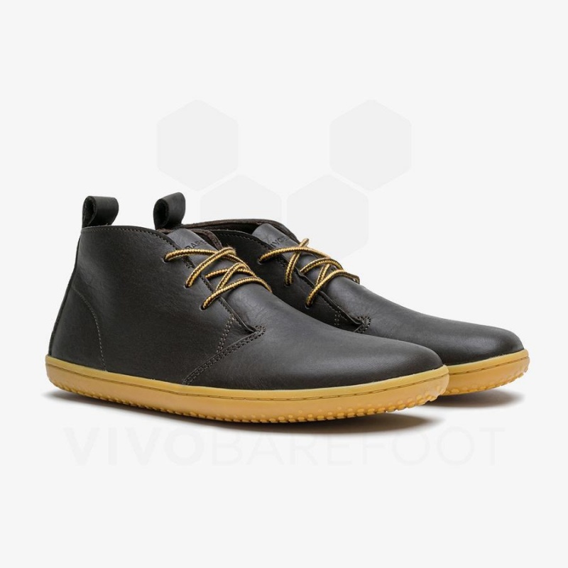 Chaussures Lifestyle Vivobarefoot Gobi III Homme Noir | FR319FU