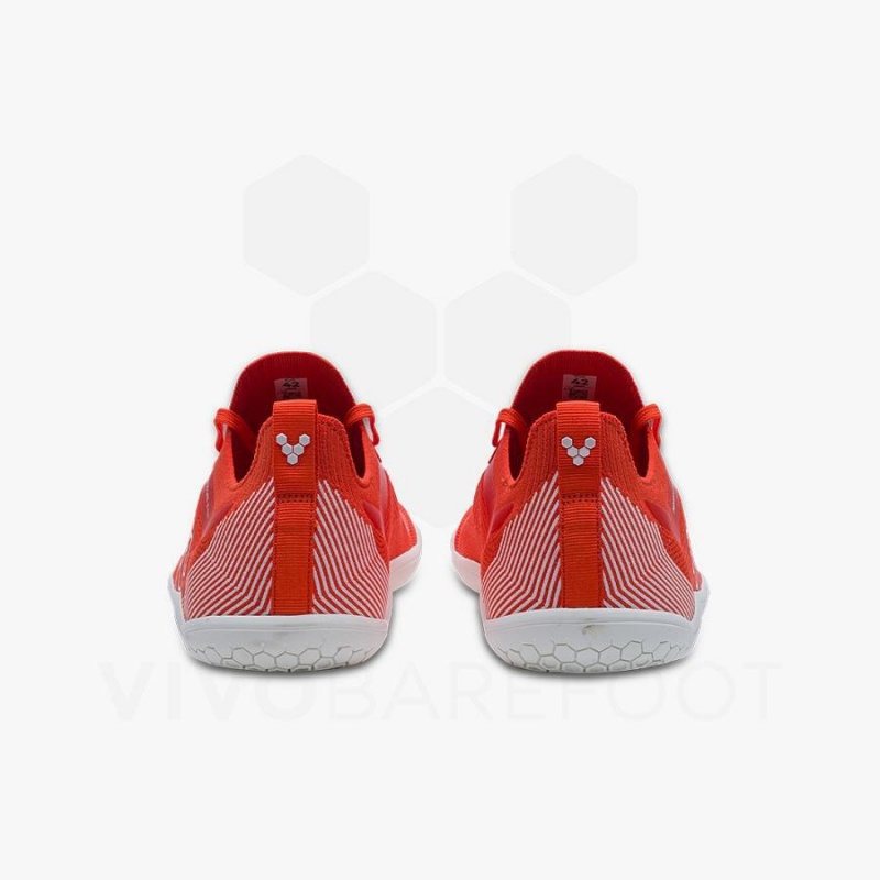 Chaussures Running Route Vivobarefoot Primus Lite Knit Femme Rouge | FR215FU