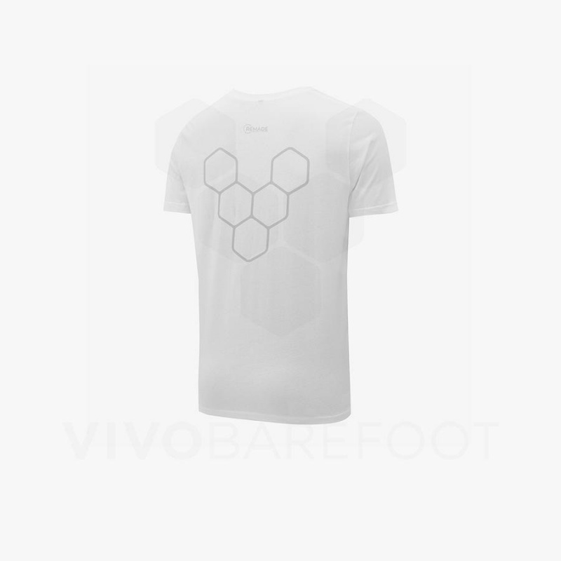 T Shirts Vivobarefoot Rapanui Femme Blanche | FR095VJ